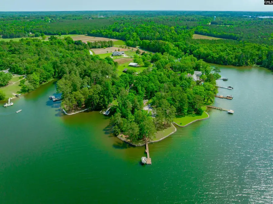 748 Crystal Lake Circle, Chapin, SC 29036 - Image #2