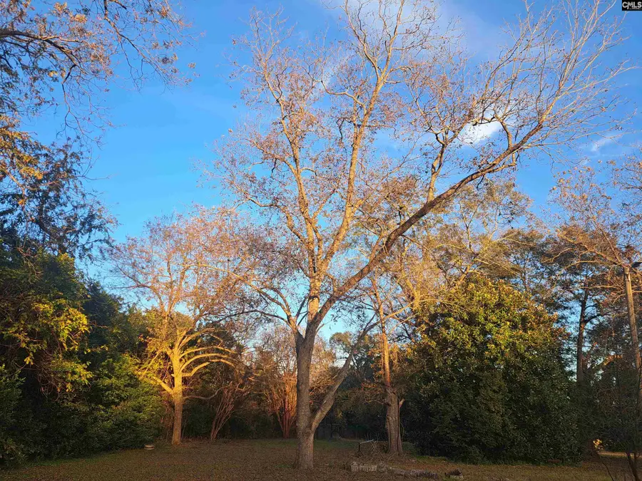 6715 Young Street, Rembert, SC 29128 - Image #3