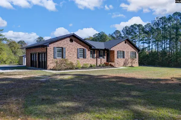 169 Lake Tide Drive, Chapin, SC 29036