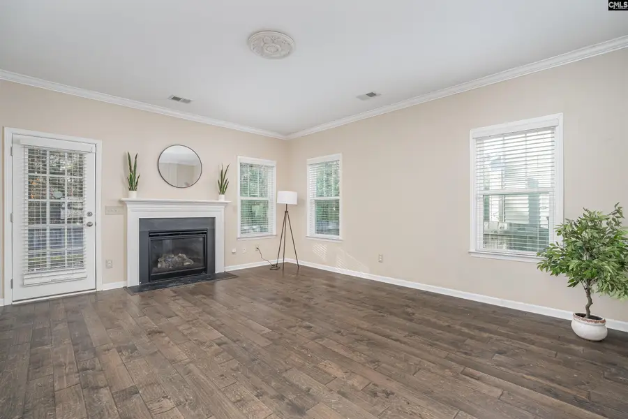 312 Lanyard Lane, Chapin, SC 29036 - Image #3