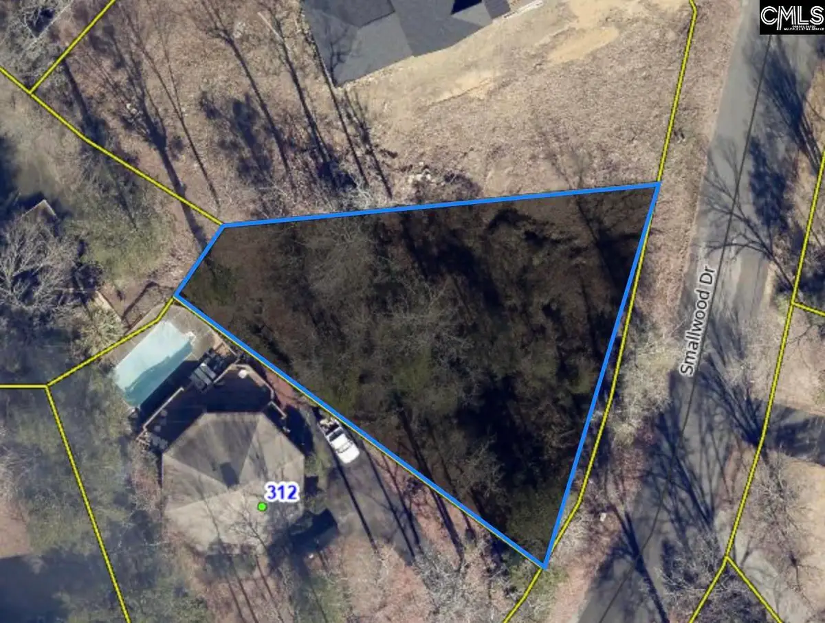 306 Smallwood Drive, Chapin, SC 29036 - Image #1