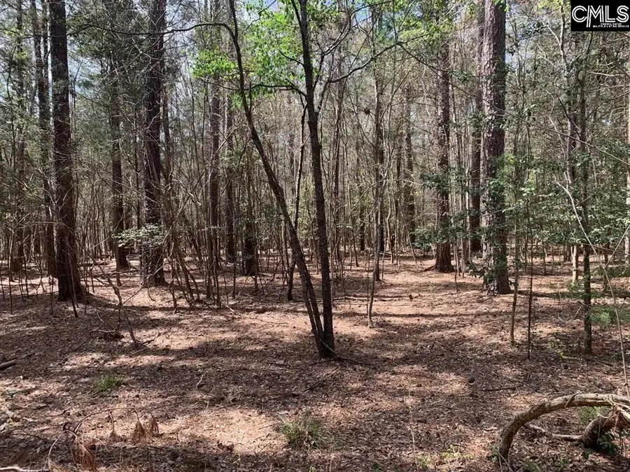 0 Eleazer (parcel C) Road, Irmo, SC 29063 - Image #2