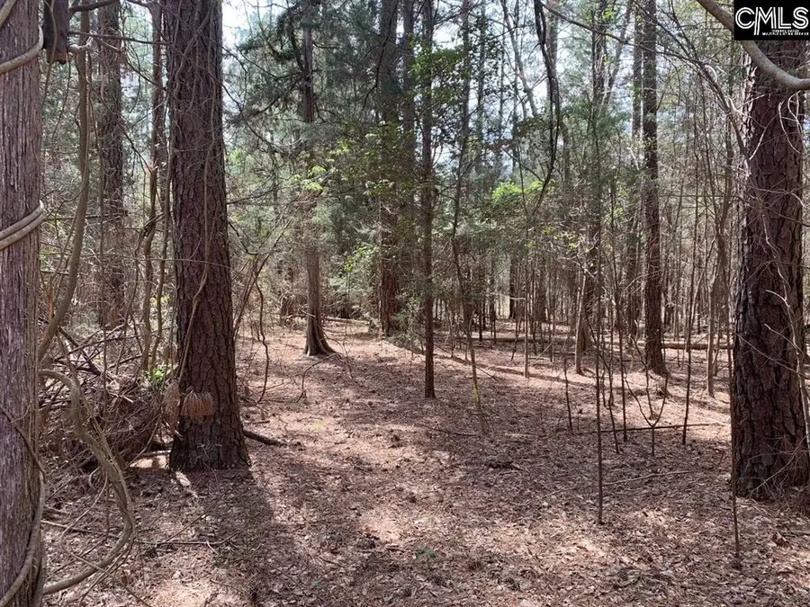0 Eleazer (parcel C) Road, Irmo, SC 29063 - Image #3
