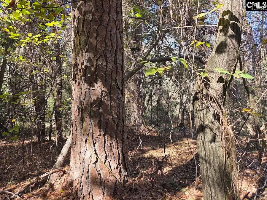 17 Five Bridges Road, Camden, SC 29020 - Image #2