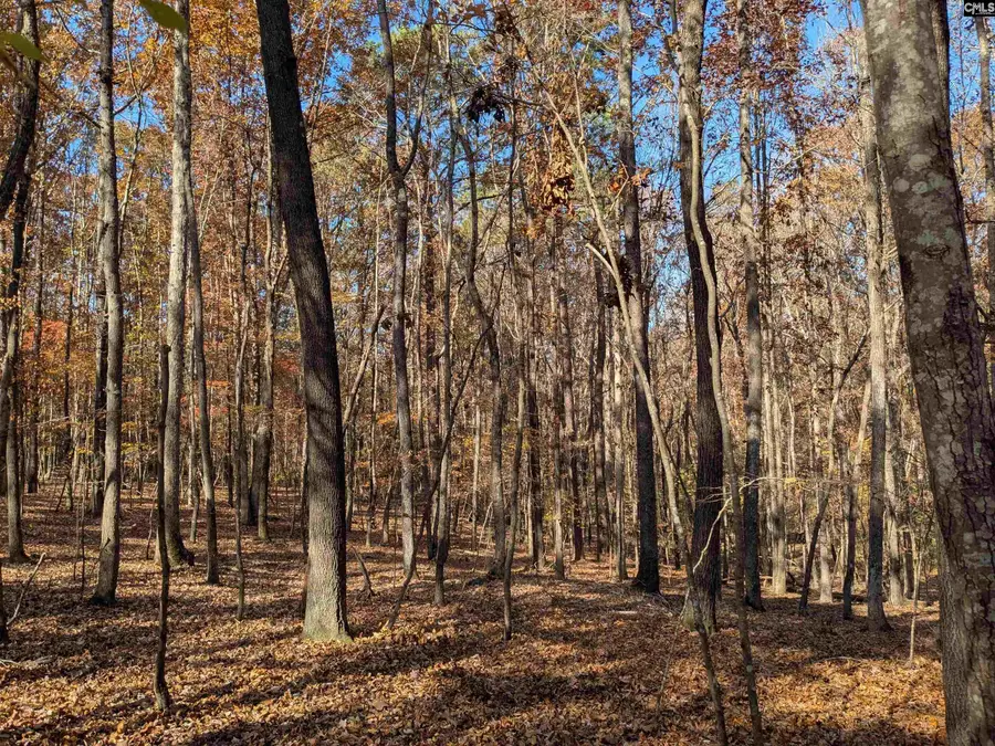 Baron Dekalb Road, Camden, SC 29020 - Image #2