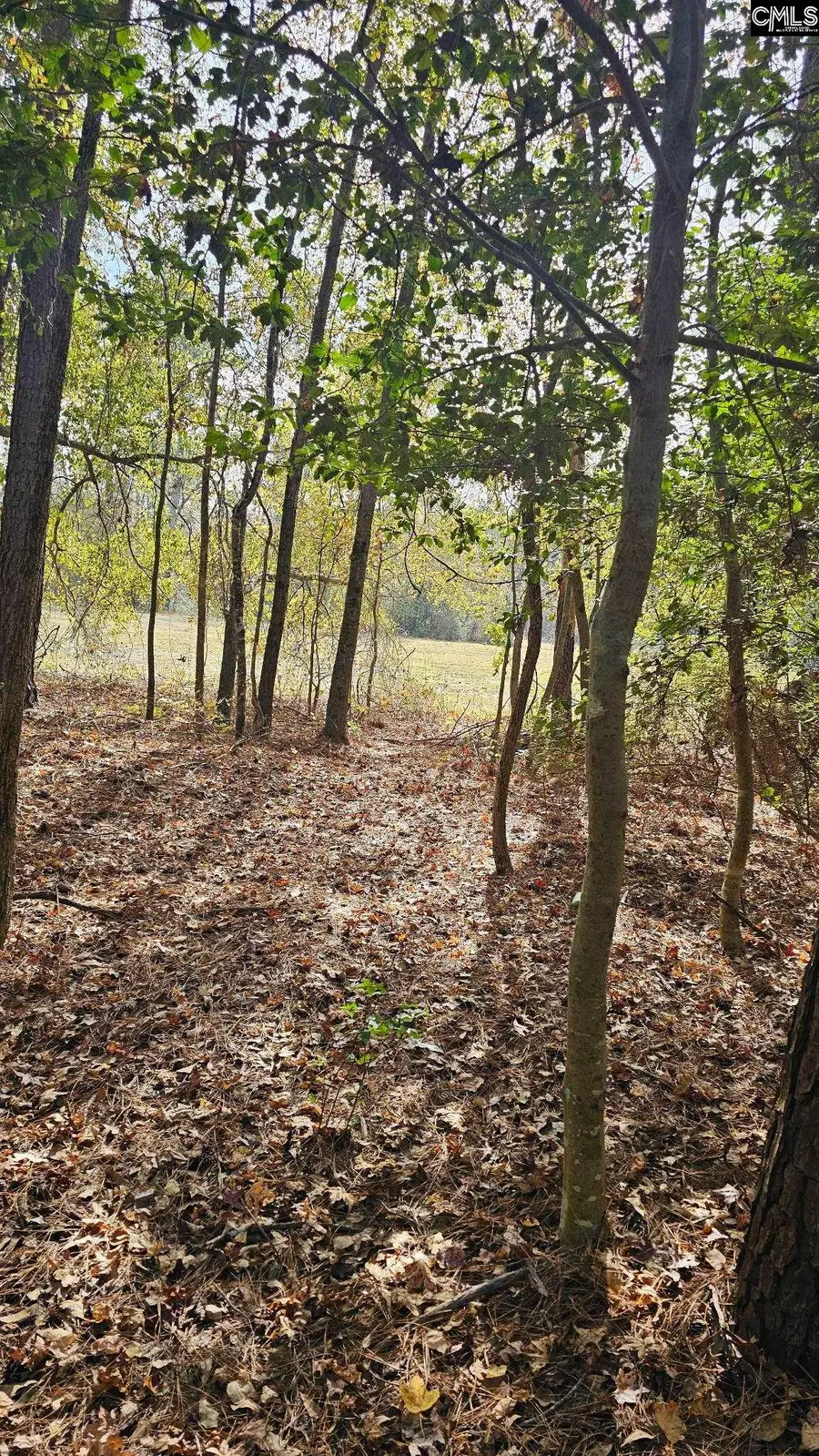 4079 Jefferson Davis Highway, Bethune, SC 29009 - Image #2