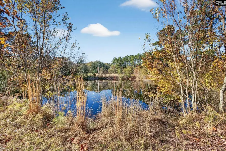 166 Cooper Pond Road, Salley, SC 29137 - Image #3