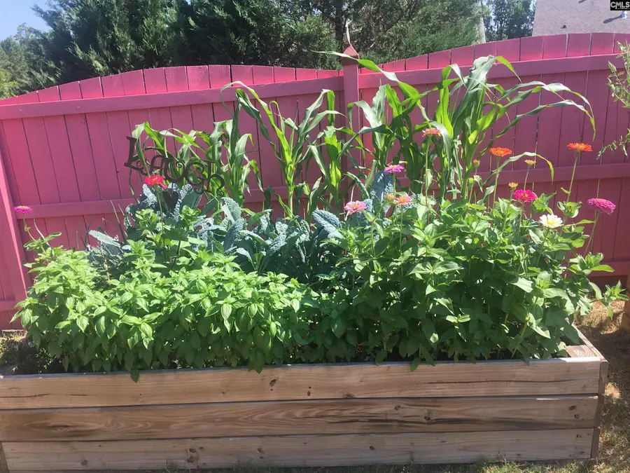 614 Scarlet Baby Drive, Blythewood, SC 29016 - Image #3