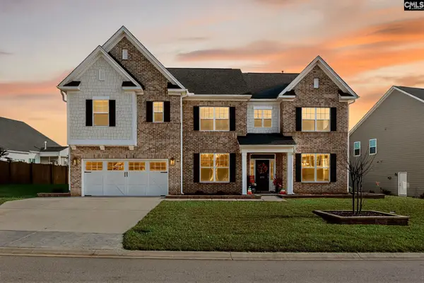 2130 Ludlow Place, Chapin, SC 29036