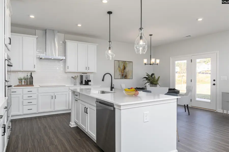 354 Chapin Place Way, Chapin, SC 29036 - Image #3