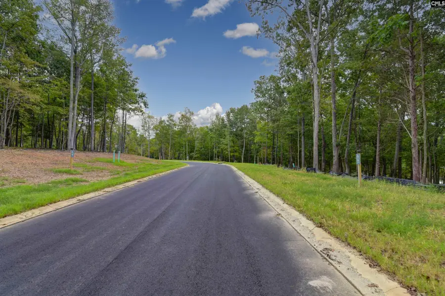 1061 Refuge Pl, Chapin, SC 29036 - Image #2