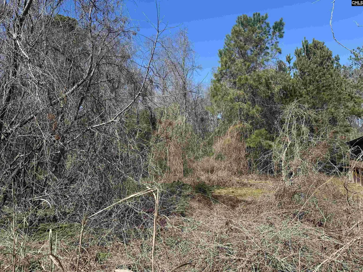 97 Charmont Drive, Columbia, SC 29223 - Image #1