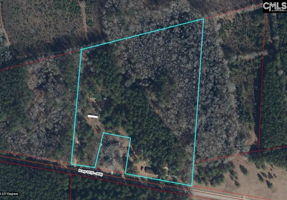 220 Ivory Street, Cope, SC 29038 - Image #1