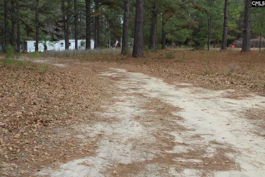 220 Ivory Street, Cope, SC 29038 - Image #2