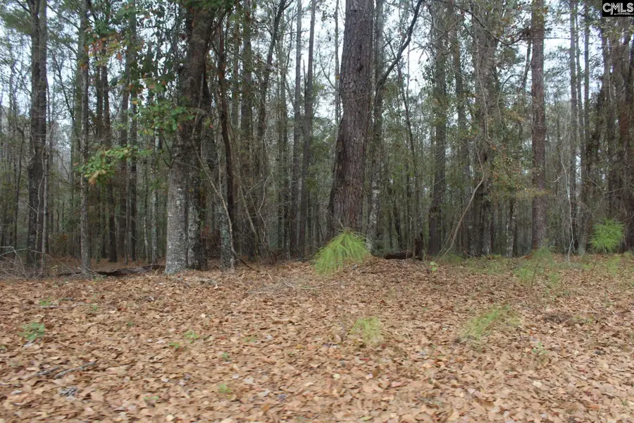 220 Ivory Street, Cope, SC 29038 - Image #3