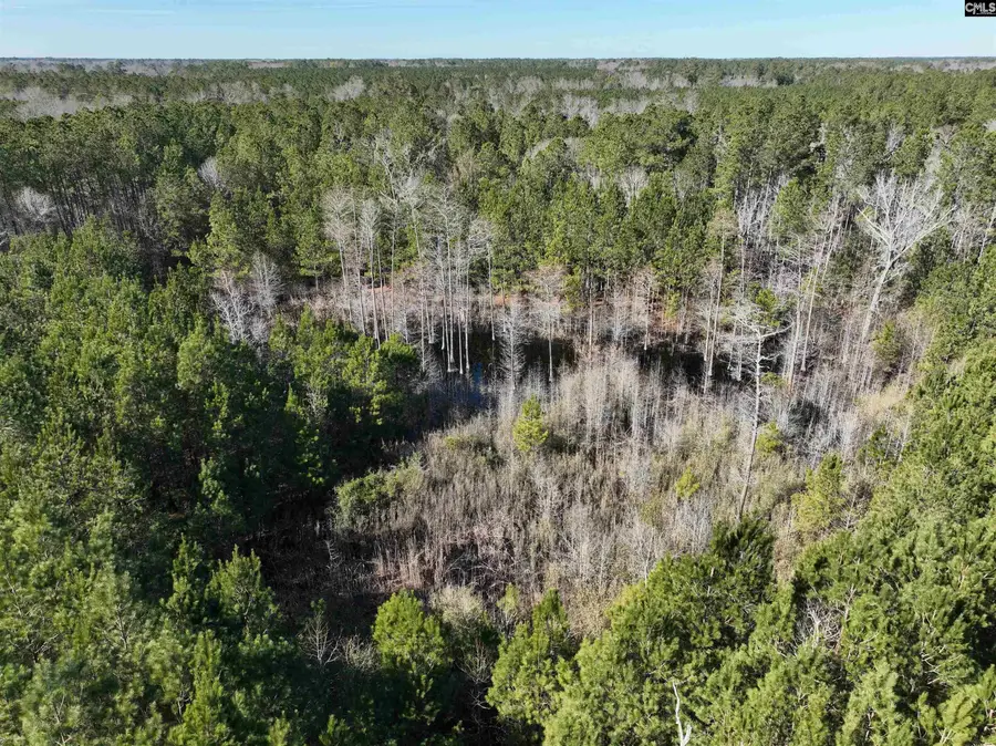 00 Hadwin Road, Bamberg, SC 29003 - Image #2
