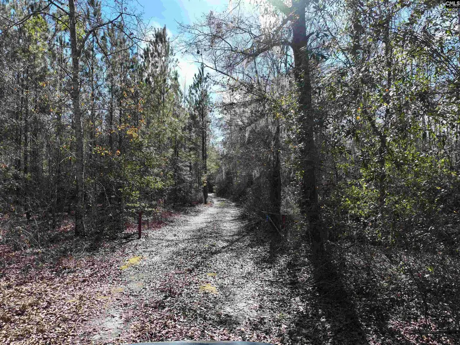 00 Hadwin Road, Bamberg, SC 29003 - Image #3