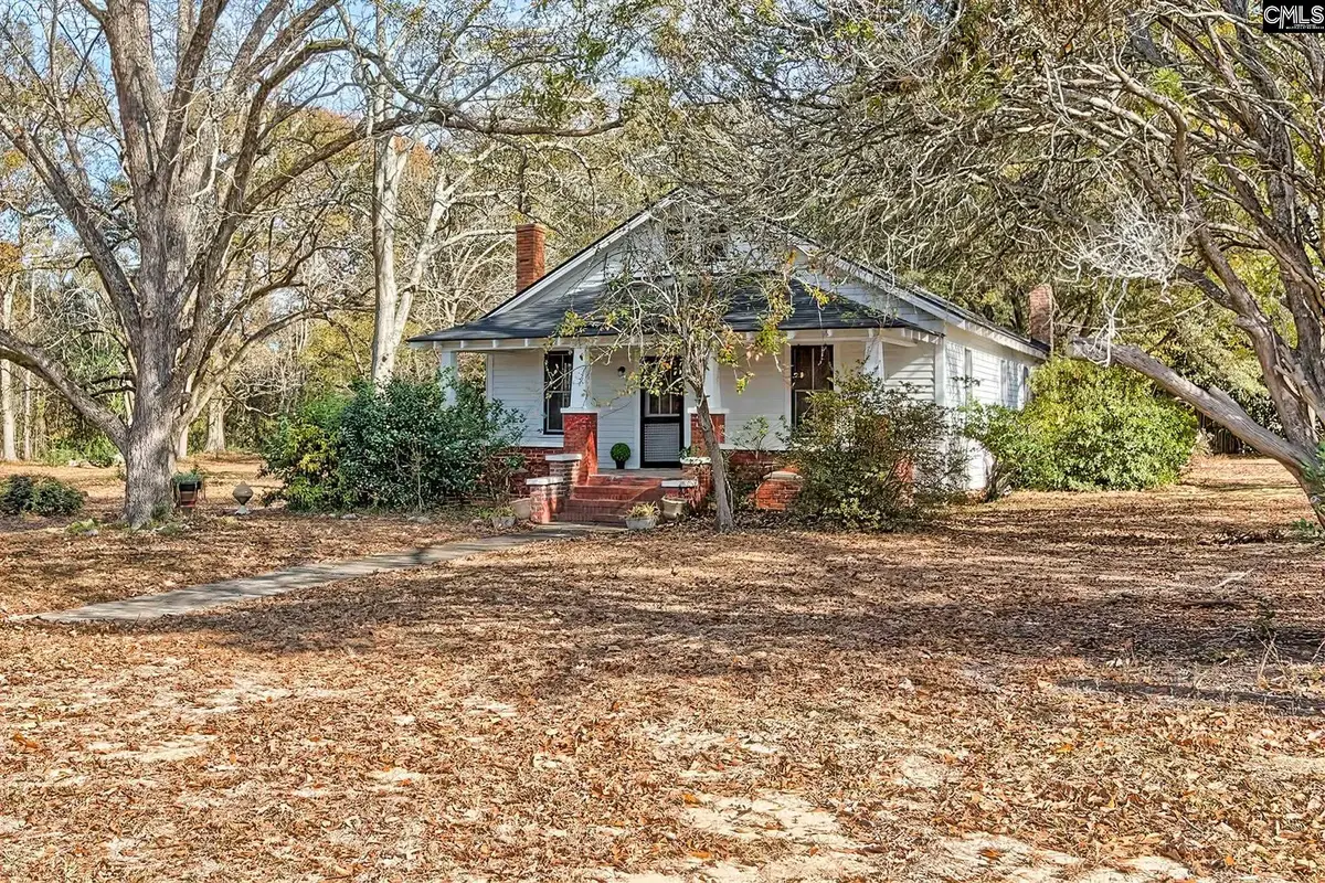 443 Main Street, Wagener, SC 29164 - Image #1