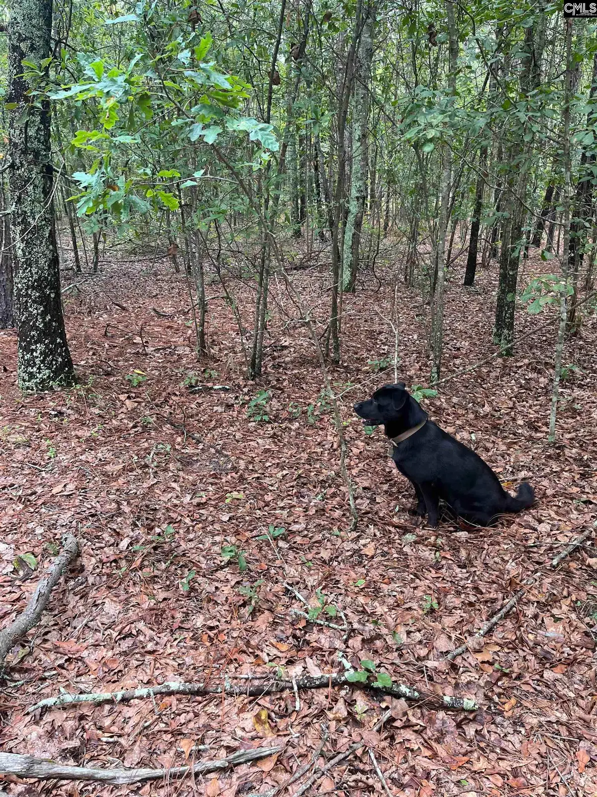 BHL 2 Boise Cascade Road #BHL 2, Bethune, SC 29009 - Image #1