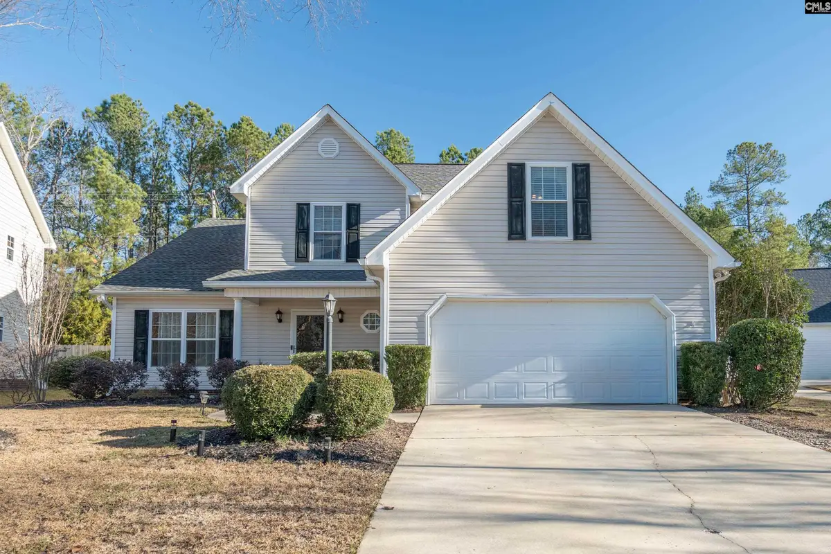 171 Elm Creek Drive, Chapin, SC 29036 - Image #1
