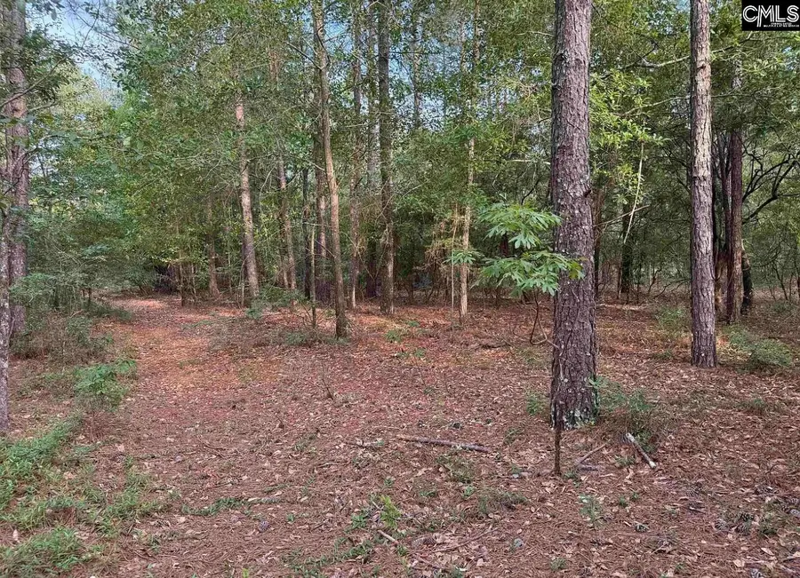 TBD Russell Rowe Road, Leesville, SC 29070 - Image #2