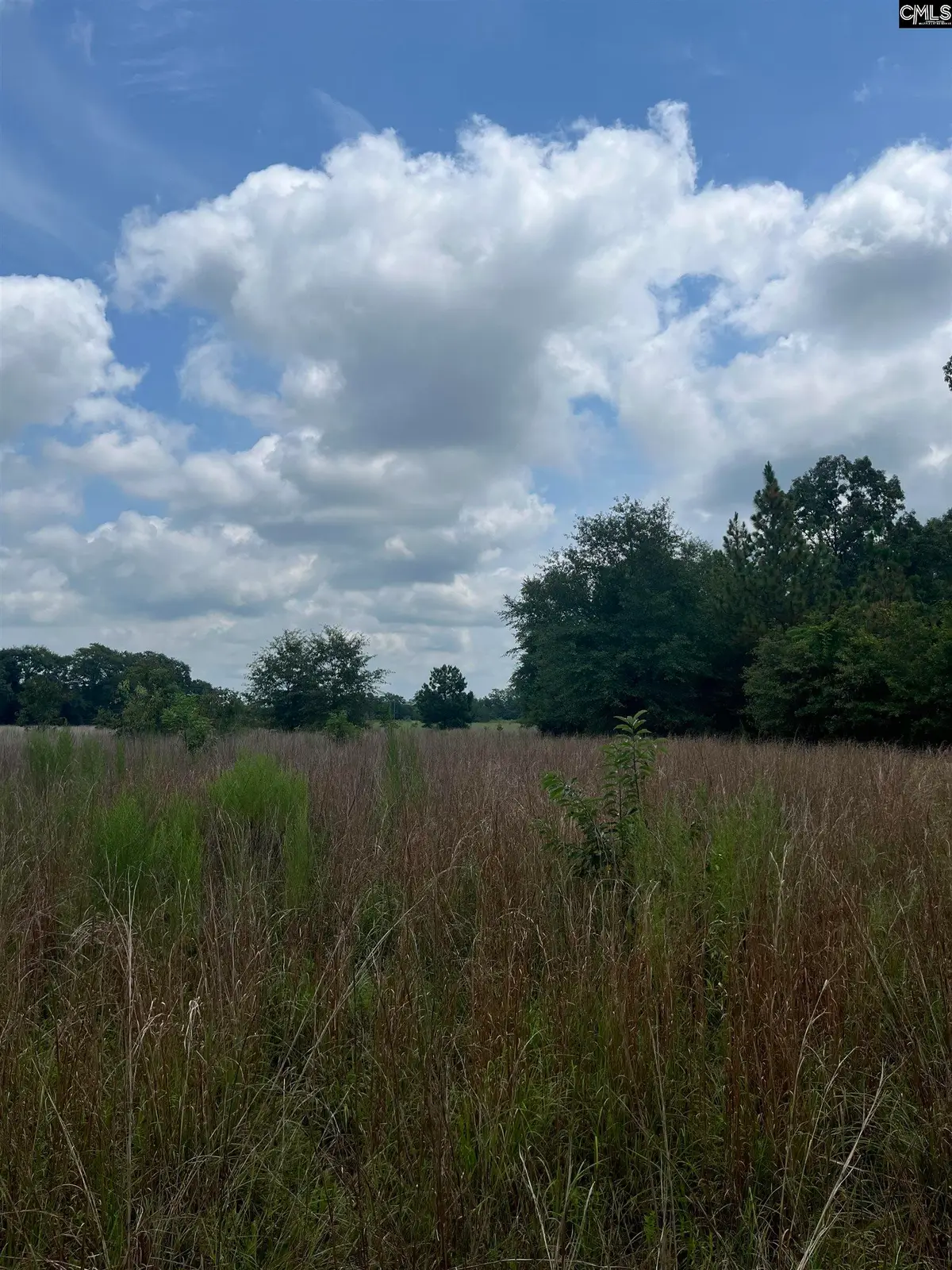 BHL 5 Boise Cascade Road #BHL 5, Bethune, SC 29009 - Image #1