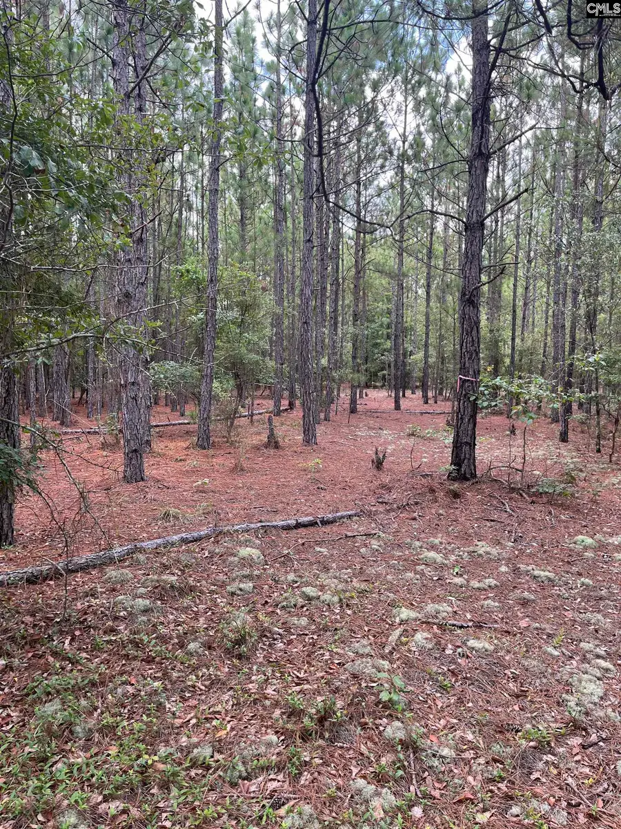 BHL 5 Boise Cascade Road #BHL 5, Bethune, SC 29009 - Image #2