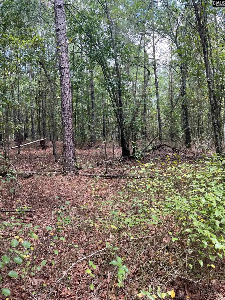 BHL 5 Boise Cascade Road #BHL 5, Bethune, SC 29009 - Image #3