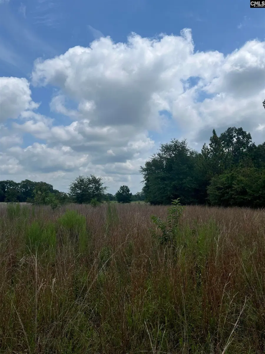 BHL 8 Boise Cascade Road #BHL 8, Bethune, SC 29009 - Image #2