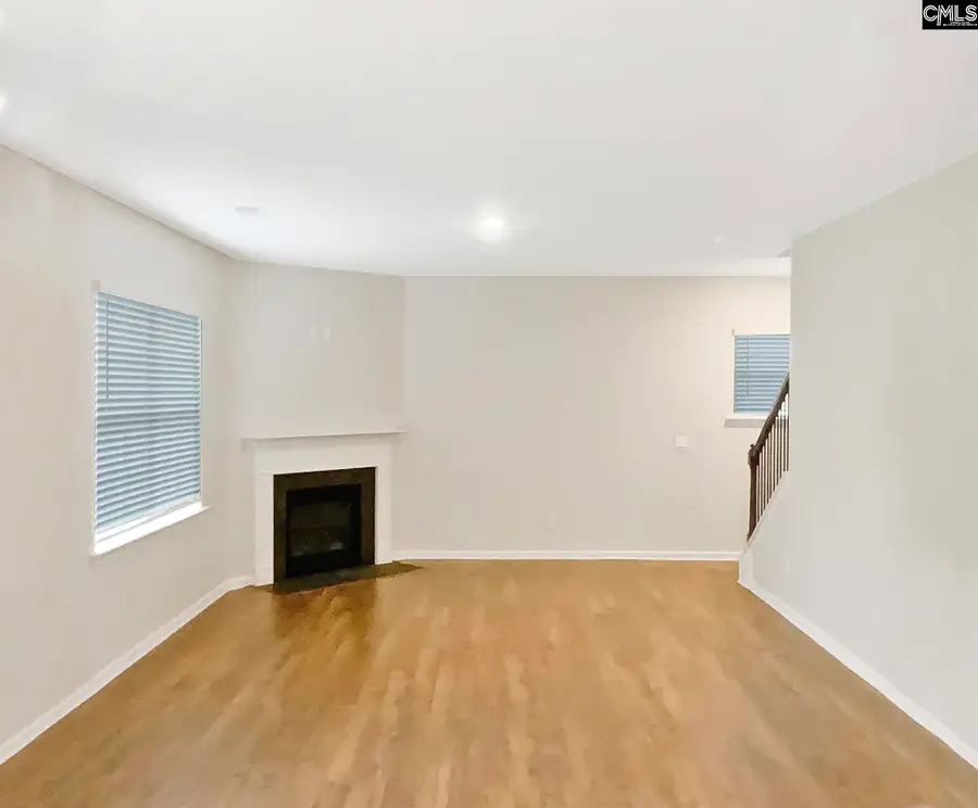 414 Pine Log Run, Chapin, SC 29036 - Image #3