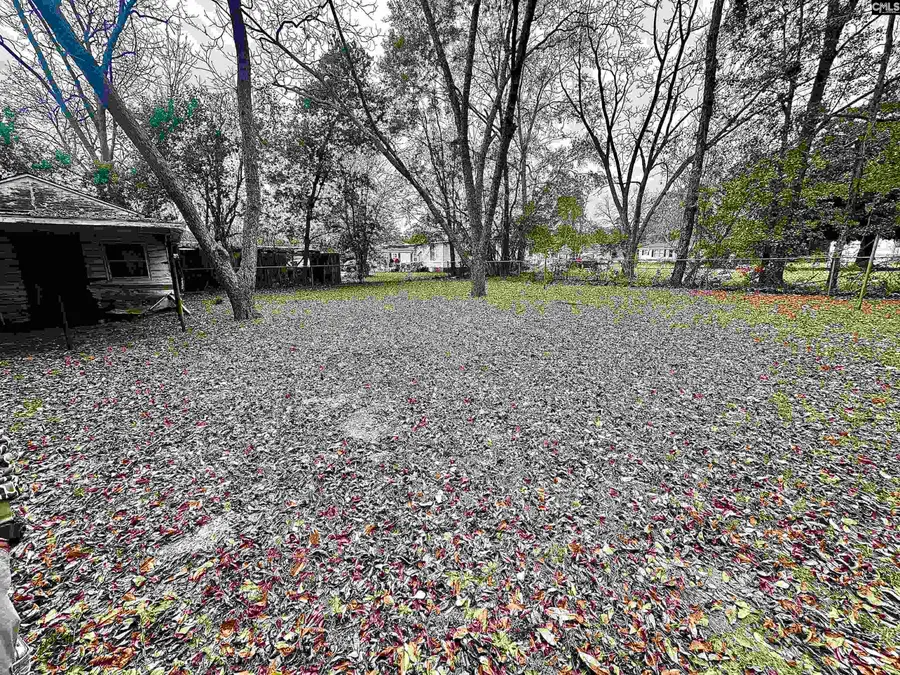 1069 Chestnut Street, Orangeburg, SC 29115 - Image #2