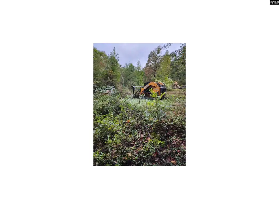 125 Meadow Lane, Eastover, SC 29044 - #3