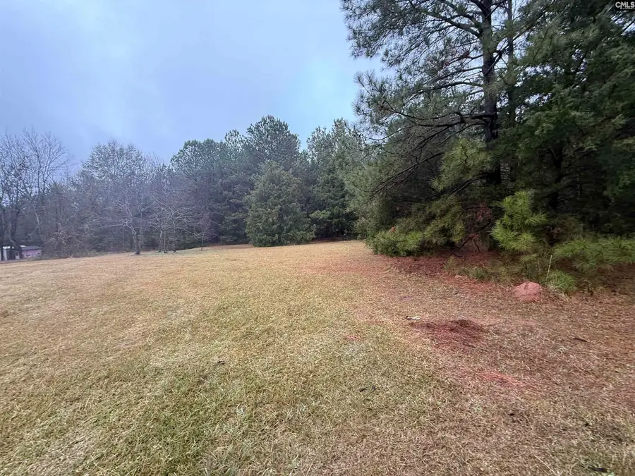 5163 Old Airport Road, Winnsboro, SC 29180 - Image #3