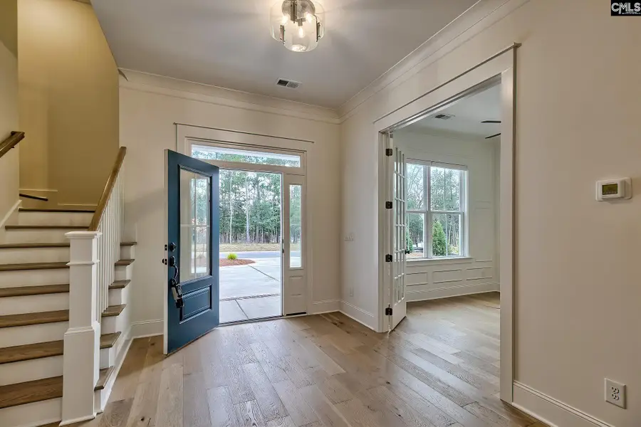 816 Elms Spiney Lane, Chapin, SC 29036 - Image #2