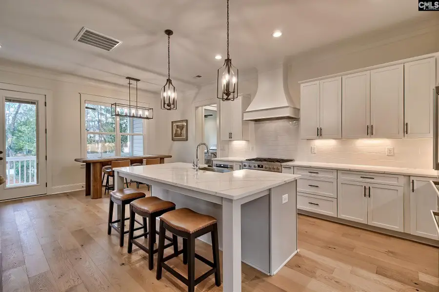 816 Elms Spiney Lane, Chapin, SC 29036 - Image #3