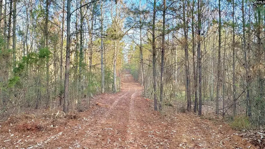 391 Highway, Prosperity, SC 29127 - Image #3