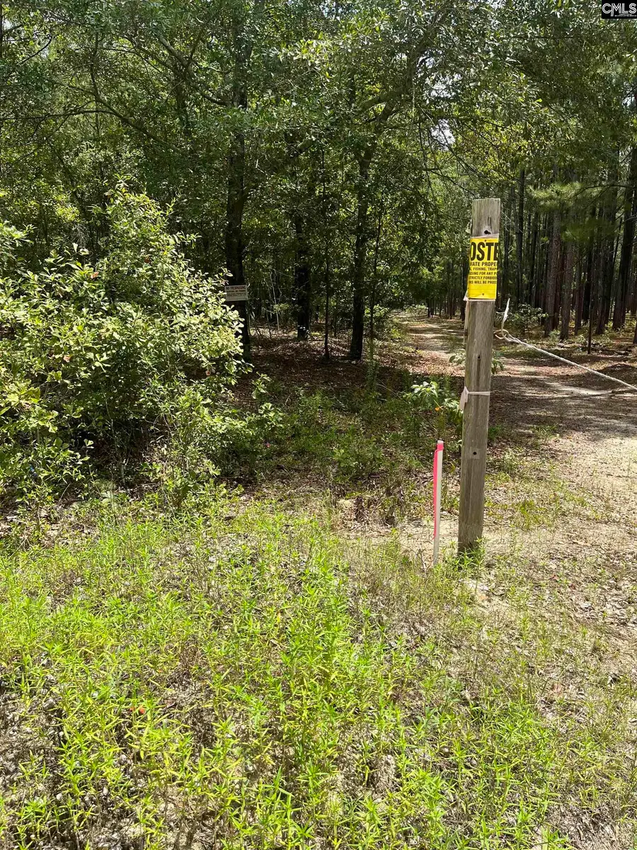 BHL 6 Boise Cascade Road #BHL 6, Bethune, SC 29009 - Image #3