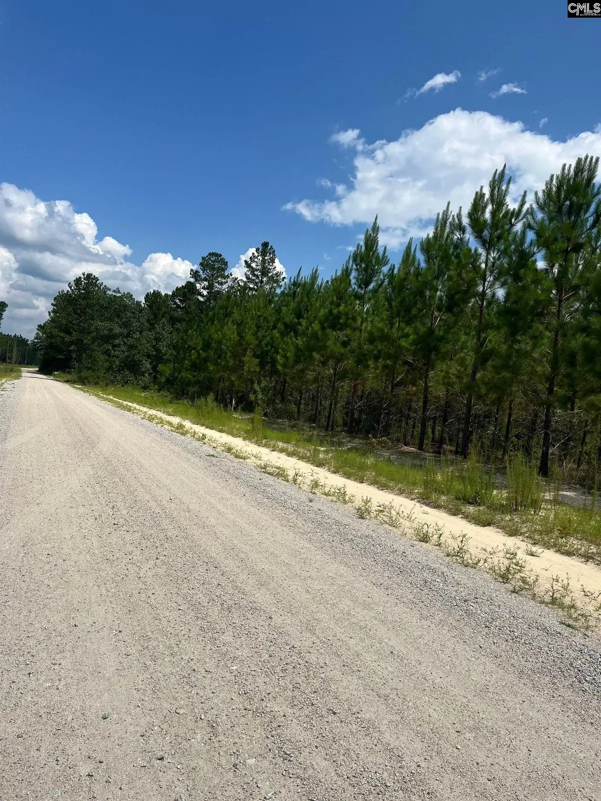 BFF 1A Jc Barefoot Road #BFF 1A, Patrick, SC 29584 - Image #1