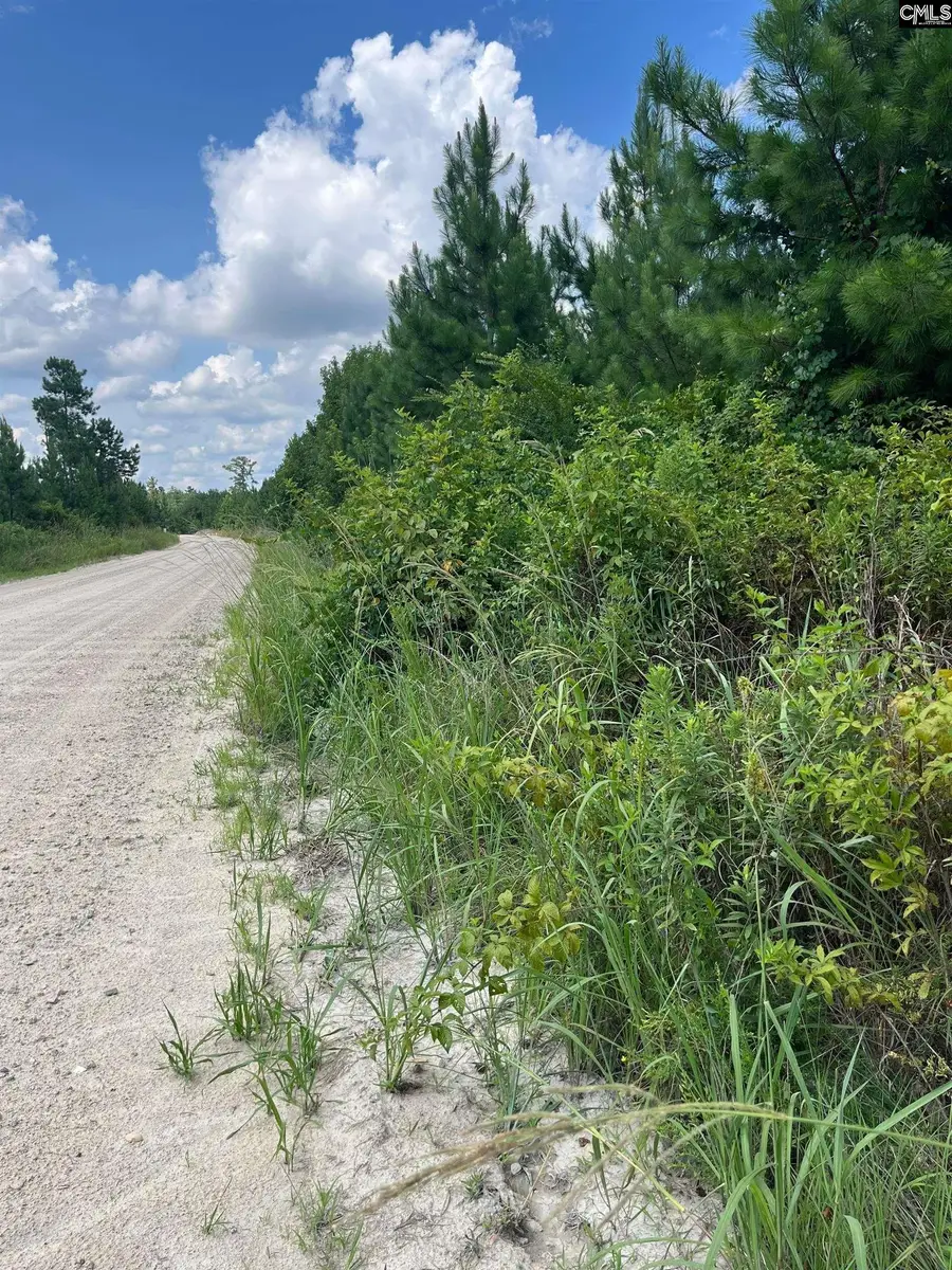 BFF 1A Jc Barefoot Road #BFF 1A, Patrick, SC 29584 - Image #2