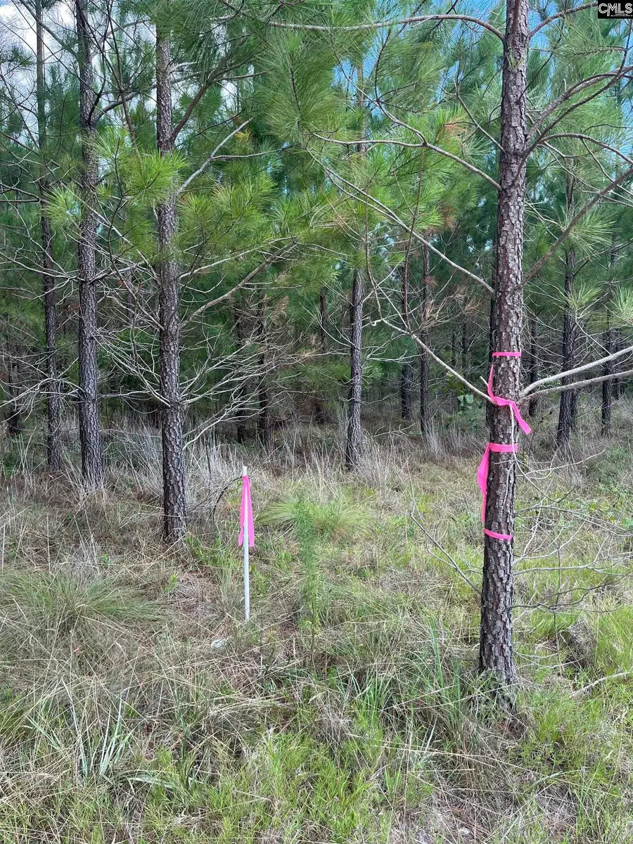 BFF 1A Jc Barefoot Road #BFF 1A, Patrick, SC 29584 - Image #3