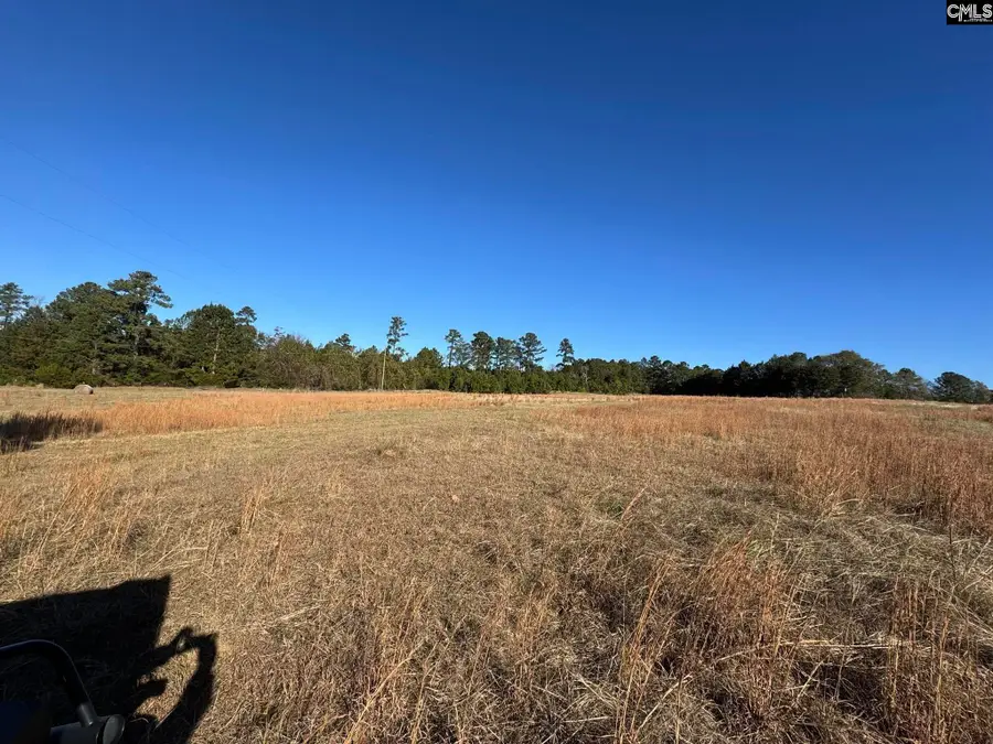 Sc 215 Highway, Jenkinsville, SC 29065 - Image #3