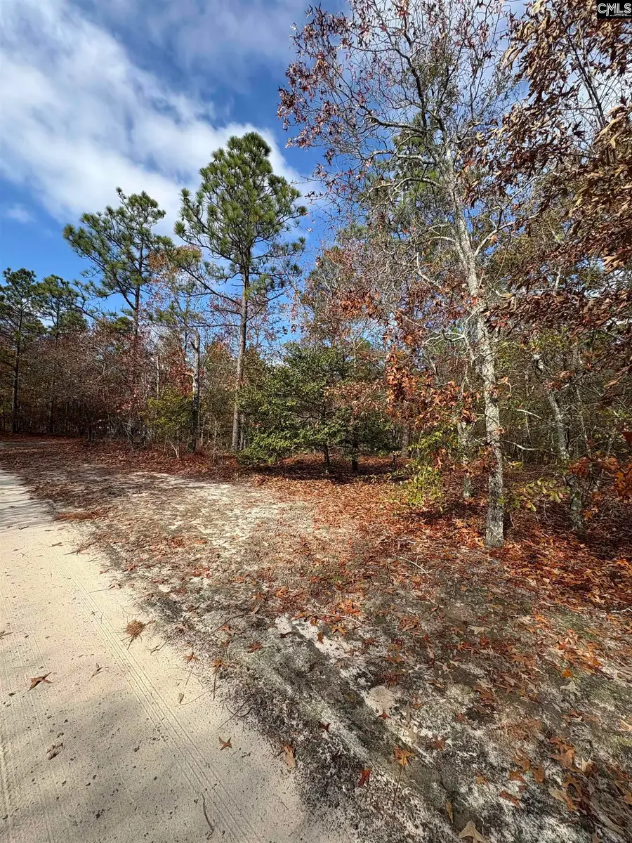 0 Valley Ridge Road, Swansea, SC 29160 - Image #2