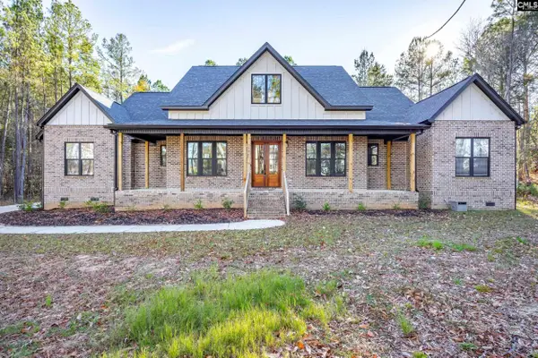 154 Pebblebranch Drive, Chapin, SC 29036