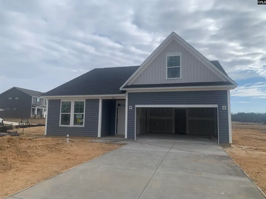 203 Ruby Prince Way, Lexington, SC 29073 - #2