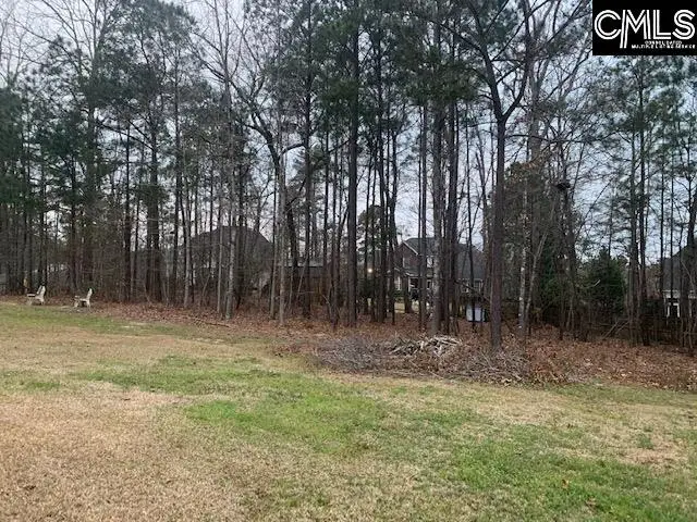 920 Ringbelle Row, Blythewood, SC 29016 - Image #3