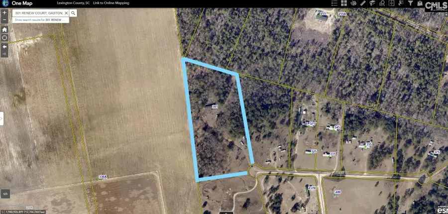 301 Renew Court Road, Gaston, SC 29053 - Image #2