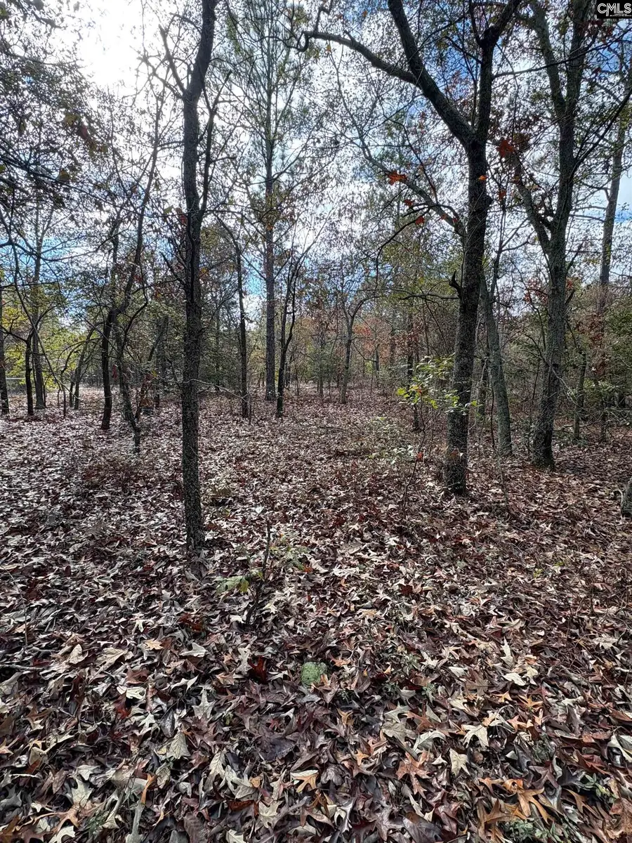 3516 Hardscrabble Road, Columbia, SC 29223 - Image #2
