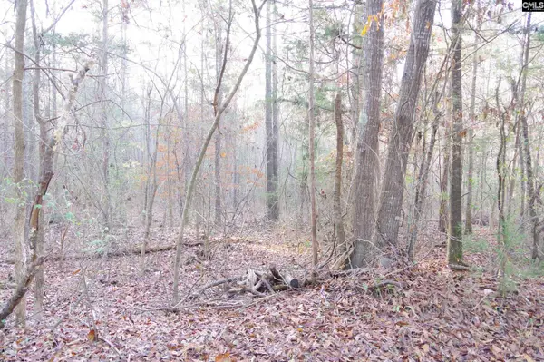 133 Archway Court, Little Mountain, SC 29075