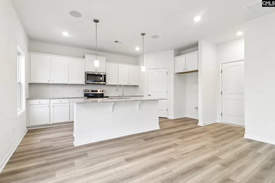 582 Griffon Drive, Chapin, SC 29036 - Image #3