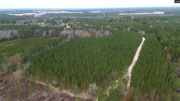 Kestrel Drive, Leesville, SC 29072